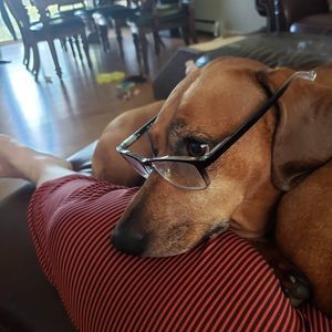 Meet your Posher, Marian